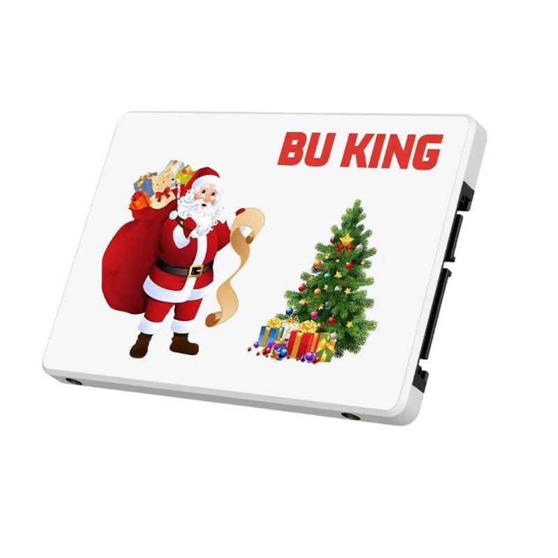 SSD 256GB Bu King