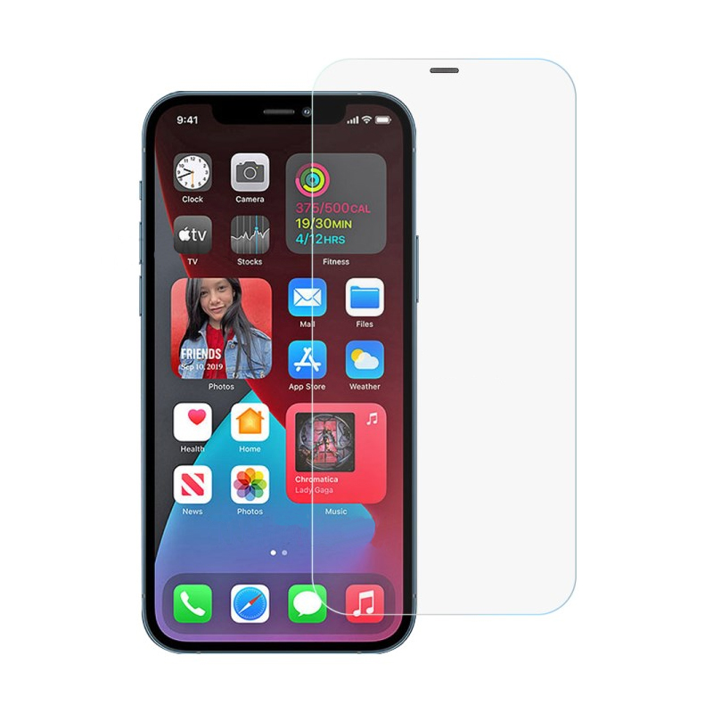 Захисне скло Glass iPhone 12 mini Full Glue з сіткою
